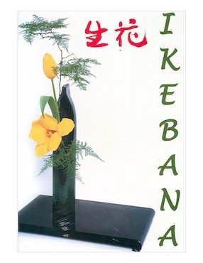 Libro Ikebana