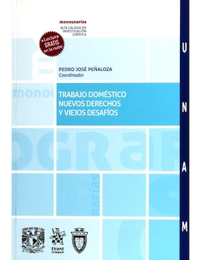 Trabajo Doméstico: Nuevos Derechos Y Viejos Desafíos