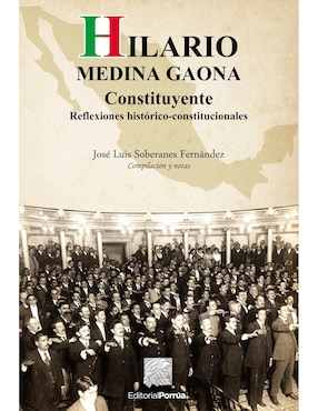 Hilario Medina Gaona: Constituyente