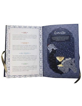 Libro Oráculo del tarot de Robin, Gaba