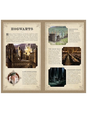Libreta Insights Editions hoja rayada