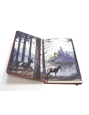 Libreta Insights Editions hoja rayada
