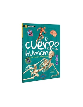 El Cuerpo Humano