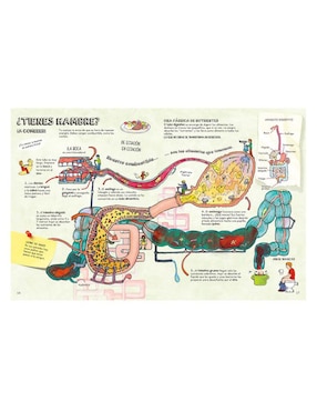 El Cuerpo Humano