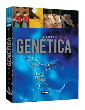 Genética