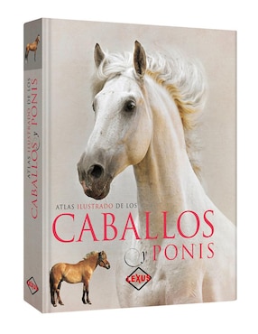 Caballos Y Ponis