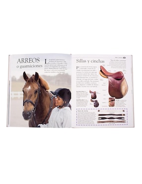 Caballos Y Ponis