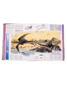 Atlas Ilustrado de los Dinosaurios Voladores Pterosaurios