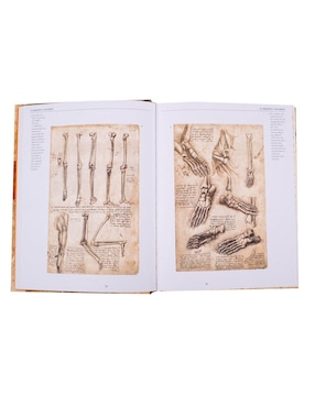 Leonardo Anatomía y Vuelo