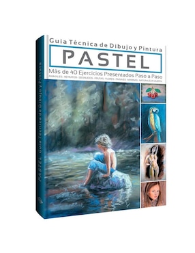 Pastel: Guía Técnica De Dibujo Y Pintura