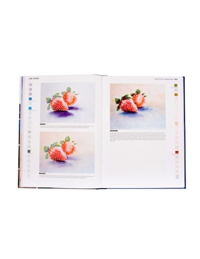 Pastel: Guía Técnica de Dibujo y Pintura