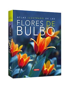 Flores De Bulbo