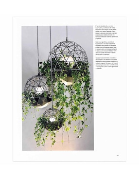 Decorar Con Plantas