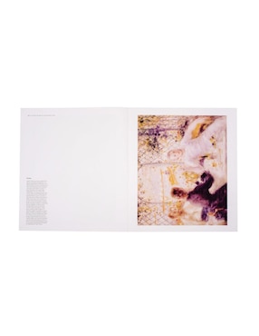 Libro de Arte Renoir