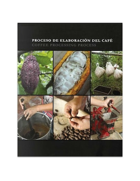 Guía Esencial Del Café