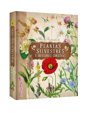 Plantas Silvestres E Infusiones Curativas