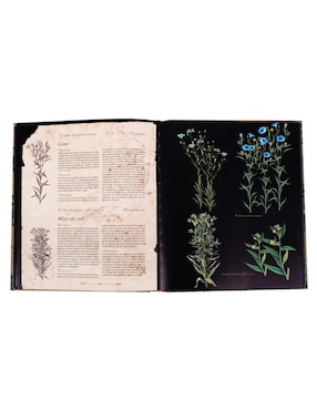 Plantas Silvestres E Infusiones Curativas