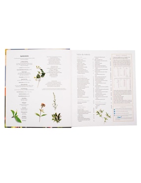 Plantas Medicinales