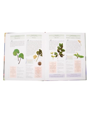 Plantas Medicinales