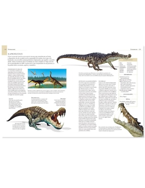 Enciclopedia Ilustrada De Los Dinosaurios