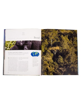 Atlas Ilustrado de Bosques Monumentales del mundo