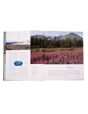 Atlas Ilustrado de Bosques Monumentales del mundo