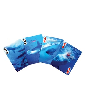 Cartas de tiburon Kikkerland