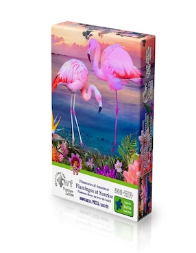 Rompecabezas Wuundentoy Flamencos 500 piezas