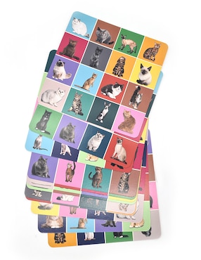 Juego de destreza cat bingo Kikkerland