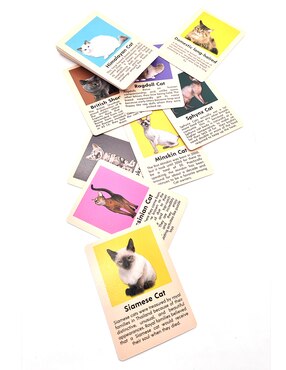 Juego de destreza cat bingo Kikkerland