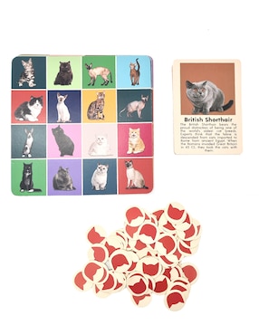 Juego de destreza cat bingo Kikkerland
