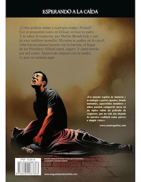Libro La Caída De Gilead / La Torre Oscura / Vol. 4 de King, Stephen