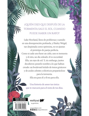 Libro Boulevard 1 de Flor M. Salvador