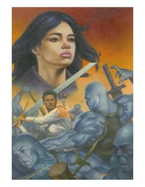 Libro El héroe de las Eras de Brandon Anderson