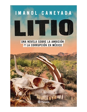 Imagen de producto Libro Litio de Imanol Caneyada