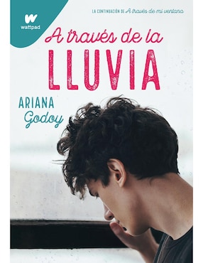 Libro A través de la lluvia de Ariana Godoy