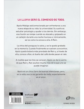 Libro A través de la lluvia de Ariana Godoy