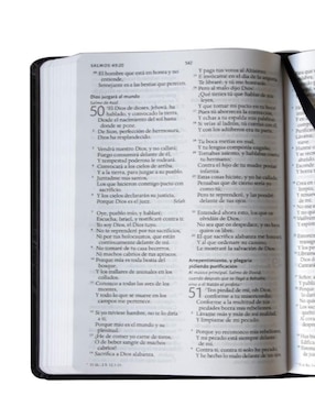Libro Santa biblia reina valera 1960 letra grande. León de Judá de Reina Valera