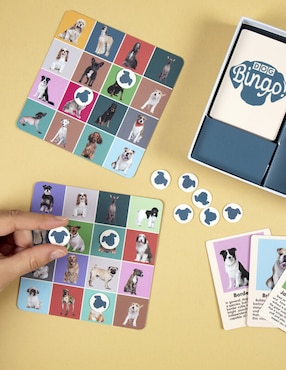 Dog Bingo! Kikkerland