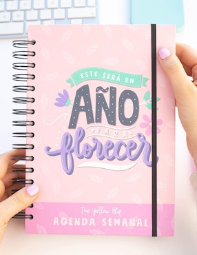 Agenda The Yellow Clip