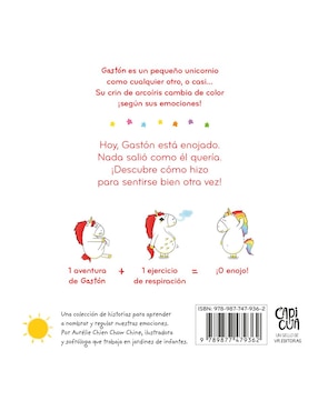 Libro Las emociones de gastón estoy enojado de Aurélie Chien Chow Chine