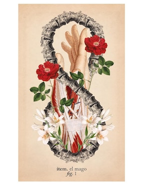 Libro Tarot de anatomía y botánica antiguas de Claire Goodchild