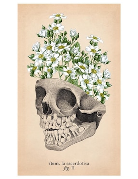 Libro Tarot de anatomía y botánica antiguas de Claire Goodchild