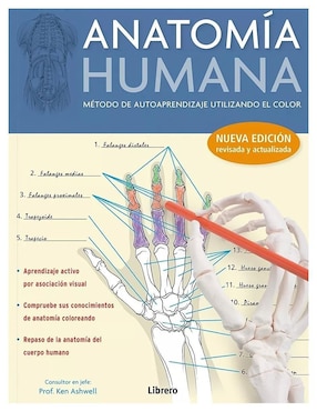 Anatomía Humana: Método De Autoaprendizaje Utilizando Color De Kurt H. Albertine