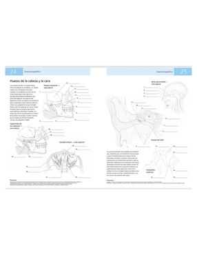 Libro Anatomía humana: Método de autoaprendizaje utilizando color de Kurt H. Albertine