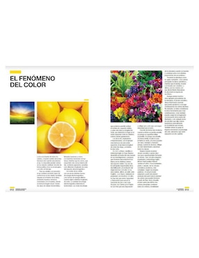 Libro Armonía cromática: Edición Pantone de Leatrice Eiseman
