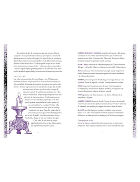 Libro Wiccapedia diario de Shawn Robbins/Leanna Greenaway