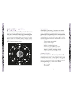 Libro Wiccapedia diario de Shawn Robbins/Leanna Greenaway