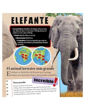 Libro Animales Extraordinarios de equipo Libsa