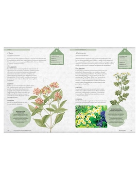 Libro Cultivar plantas aromáticas de Holly Farrell /Royal Botanic Gardens/Kew